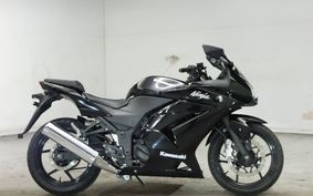 KAWASAKI NINJA 250R 2009 EX250K