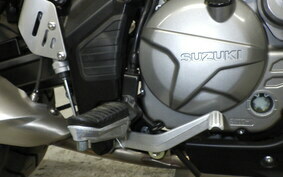 SUZUKI DL650 ( V-Strom 650 ) 2021 C733A