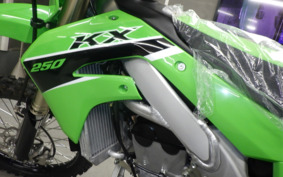 KAWASAKI KX250 KX252C