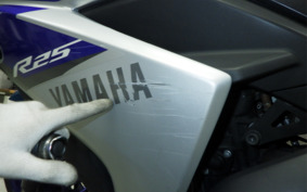 YAMAHA YZF-R25 RG10J