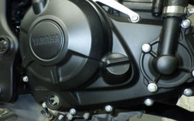 YAMAHA MT-25 A RG74J