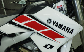 YAMAHA WR250R DG15J