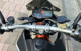 KTM 690 DUKE R 2010 LDU40