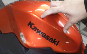 KAWASAKI Z250 ER250C