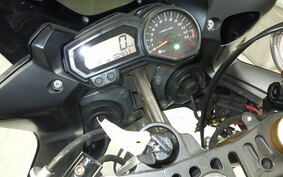 YAMAHA FZ FAZER 2007 RN17