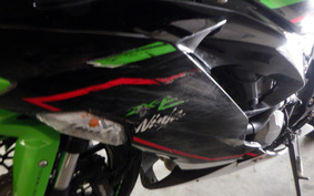 KAWASAKI NINJA ZX-6R 2021 ZX636G