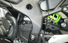 KAWASAKI ZX-4RR 2023 ZX400P