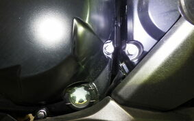 KAWASAKI NINJA 1000 SX 2020 ZXT02K