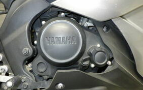 YAMAHA YZF-R15 RG06