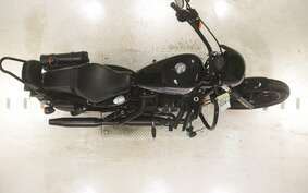 HARLEY XL1200NS 2020 LP3