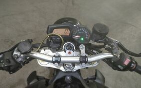 YAMAHA FZ FAZER 2009 RN21J