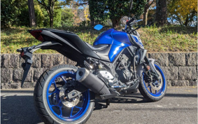 YAMAHA MT-25 RG43J