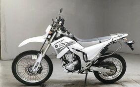 YAMAHA WR250R DG15J