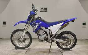 YAMAHA WR250R DG15J