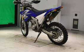 YAMAHA WR250R DG15J