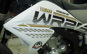 YAMAHA WR250X DG15J