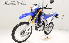 YAMAHA WR250R DG21