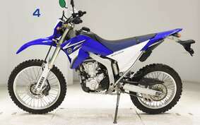 YAMAHA WR250R DG15J