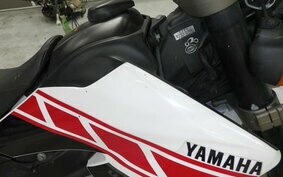 YAMAHA WR250X DG15J