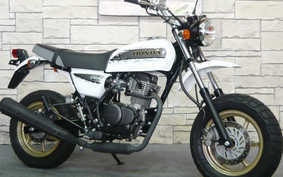 HONDA APE 100 Type D HC13