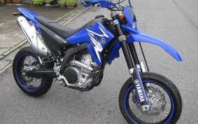 YAMAHA WR250X DG15J