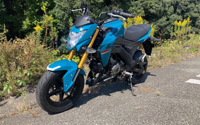 KAWASAKI Z125 PRO BR125H