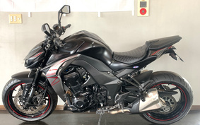 KAWASAKI Z1000 2019 ZXT00W