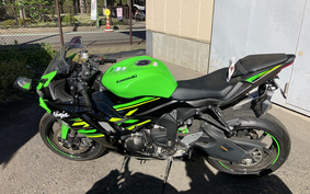 KAWASAKI NINJA ZX-6R 2019 ZX636G