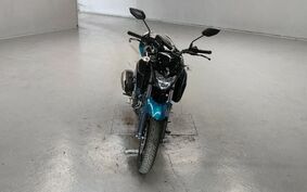 YAMAHA FZ25 不明