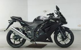 KAWASAKI NINJA 250R 2009 EX250K