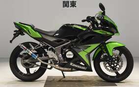 KAWASAKI NINJA150RR KR150P