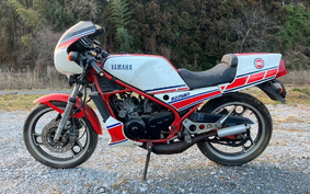 YAMAHA RZ250R 29L