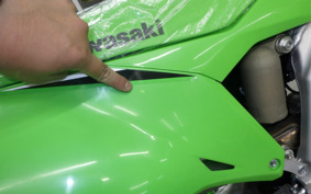 KAWASAKI KX250X KX252D