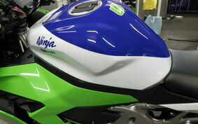 KAWASAKI ZX-4RR 2024 ZX400P