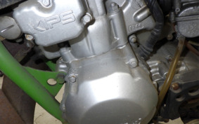 KAWASAKI KDX220SR DX220B