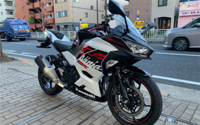 KAWASAKI NINJA 250 EX250P