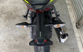 KAWASAKI NINJA ZX-6R 2019 ZX636G