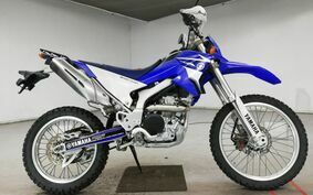 YAMAHA WR250R DG15J