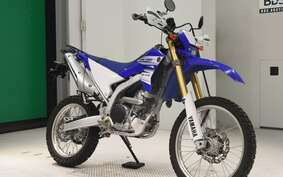 YAMAHA WR250R DG15J