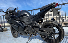 KAWASAKI NINJA 250R EX250K