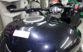 KAWASAKI NINJA 1000 2016 ZXT00L