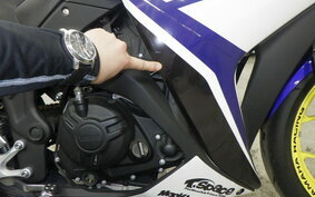 YAMAHA YZF-R25 RG43J