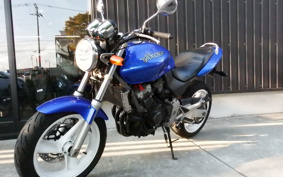 HONDA HORNET 250 MC31