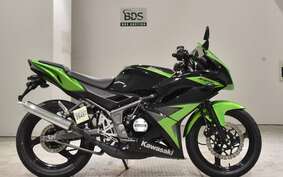 KAWASAKI NINJA150RR KR150P