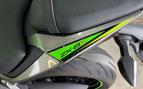 KAWASAKI NINJA ZX-6R 2019 ZX636G