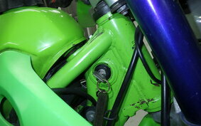 KAWASAKI KDX250SR DX250F