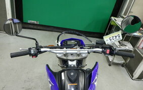 YAMAHA WR250R DG15J