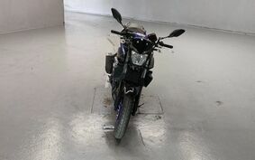 YAMAHA MT-25 RG43J