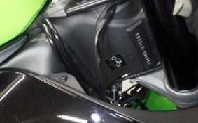 KAWASAKI NINJA ZX-6R A 2021 ZX636G