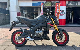 KAWASAKI Z125 PRO BR125H